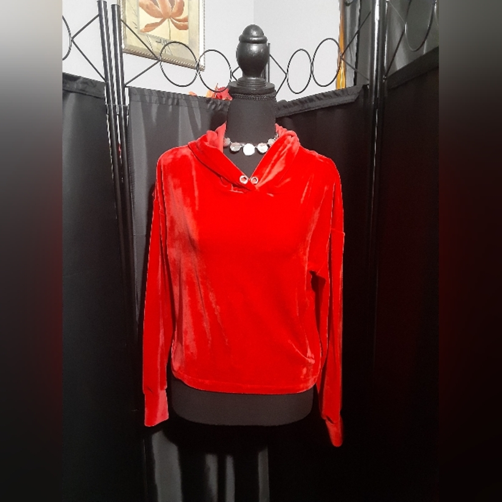 Eye Candy Red Velvet Women's Cropped Hoodie Velour Size M
